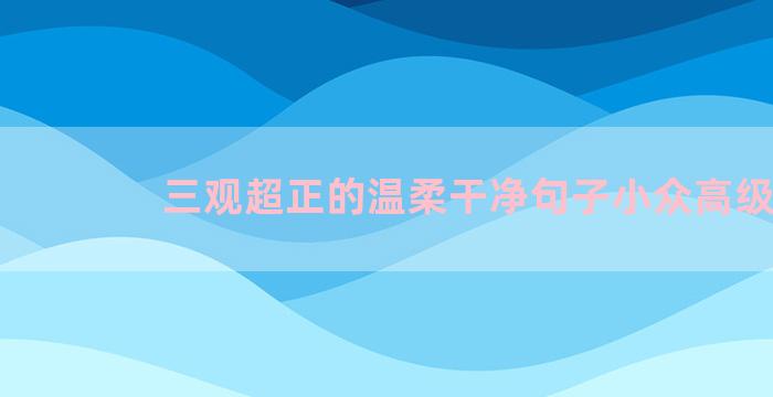 三观超正的温柔干净句子小众高级