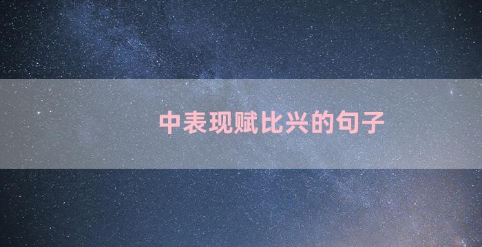 中表现赋比兴的句子