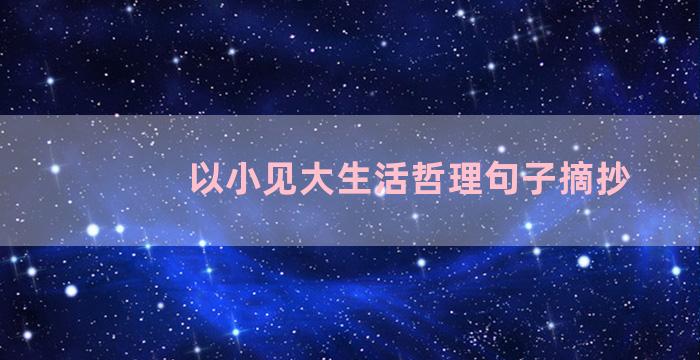 以小见大生活哲理句子摘抄
