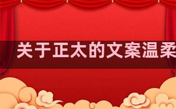 关于正太的文案温柔句子