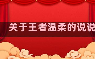 关于王者温柔的说说句子