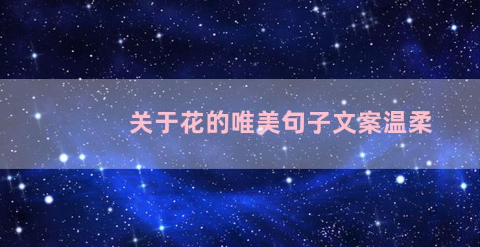 关于花的唯美句子文案温柔