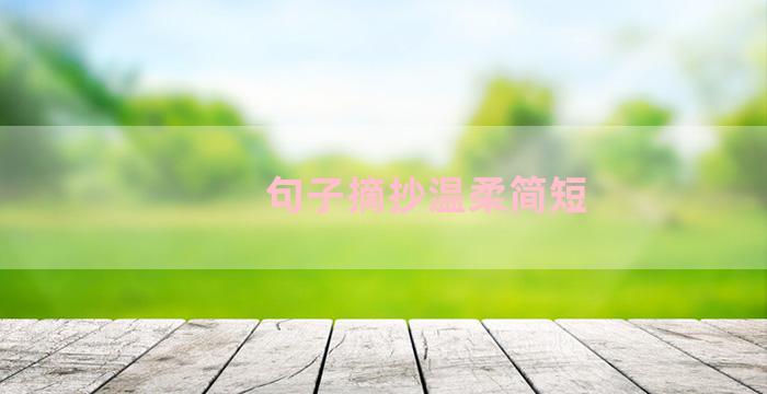 句子摘抄温柔简短