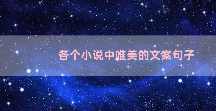 各个小说中唯美的文案句子