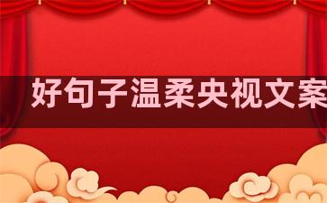 好句子温柔央视文案青春