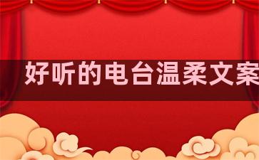 好听的电台温柔文案句子