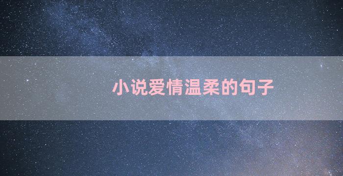 小说爱情温柔的句子