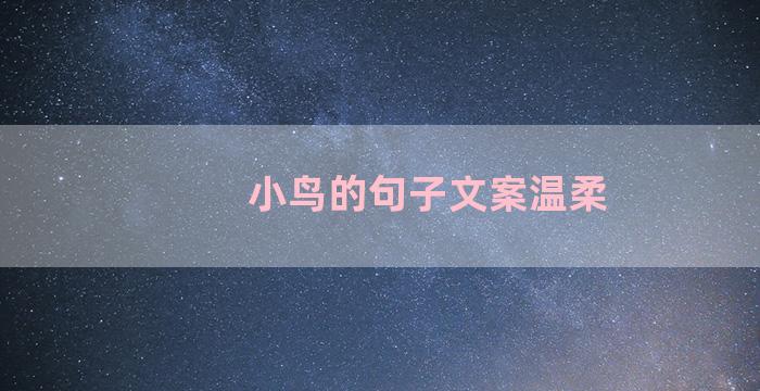 小鸟的句子文案温柔