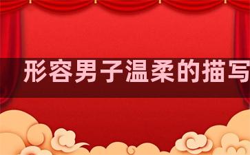 形容男子温柔的描写句子