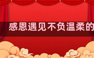 感恩遇见不负温柔的句子
