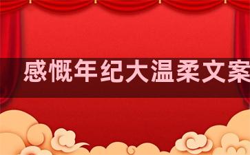 感慨年纪大温柔文案句子