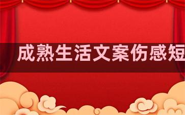 成熟生活文案伤感短句子