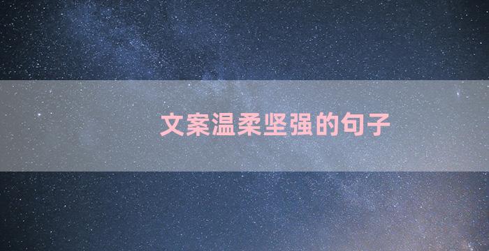 文案温柔坚强的句子