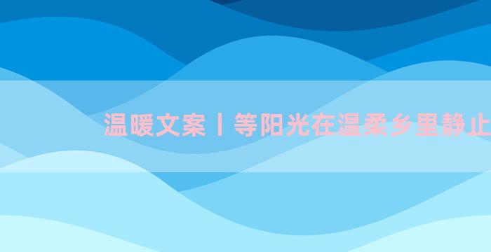 温暖文案丨等阳光在温柔乡里静止