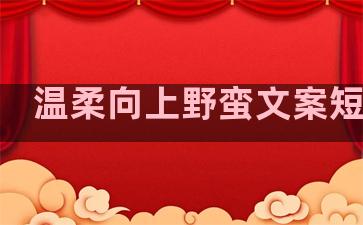 温柔向上野蛮文案短句子