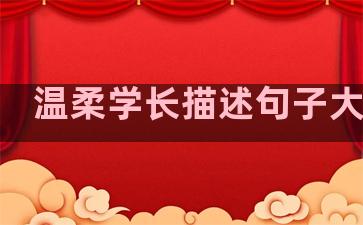 温柔学长描述句子大全集