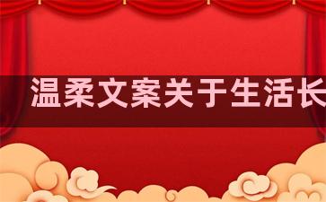 温柔文案关于生活长句子