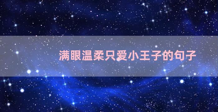 满眼温柔只爱小王子的句子