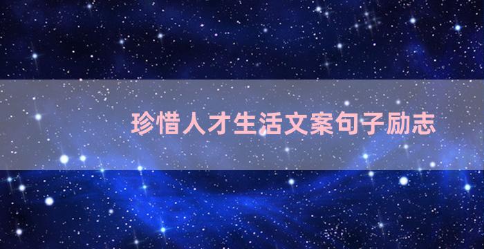 珍惜人才生活文案句子励志