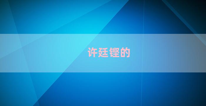 许廷铿的