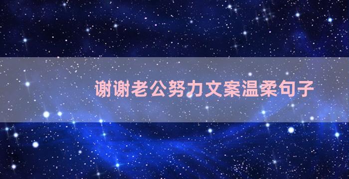 谢谢老公努力文案温柔句子