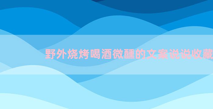 野外烧烤喝酒微醺的文案说说收藏