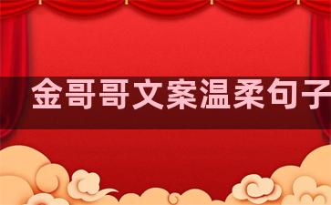 金哥哥文案温柔句子伤感