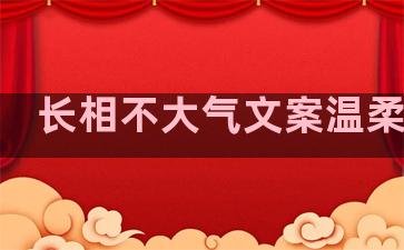 长相不大气文案温柔句子